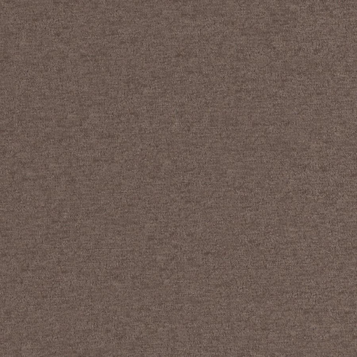 Pintura # 909 Nut by Maxwell Designer Fabric Curled Up Viii 100% POLYESTER CHINA 55" - Swanky Fabrics -