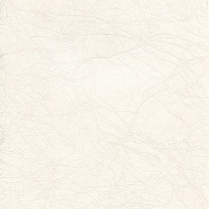 Pacific Grove Light House View by Enduratex Designer Fabric