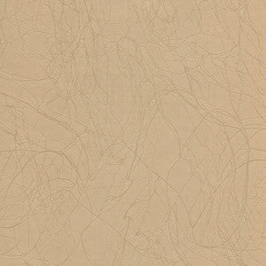 Pacific Grove Scuttling Sandpipers by Enduratex Designer Fabric