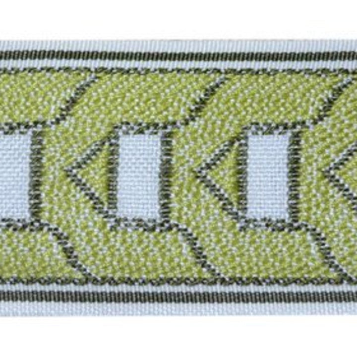 Pantheon Citron by Europatex Designer Fabric Tapes Decor 100% Polyester 2.00 inches - Swanky Fabrics -