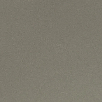 Parker Fossil by Nassimi Designer Fabric See sample 100% Polyurethane  100000 Horizontal: Not Applicable and Vertical: Not Applicable 54"  - Swanky Fabrics -