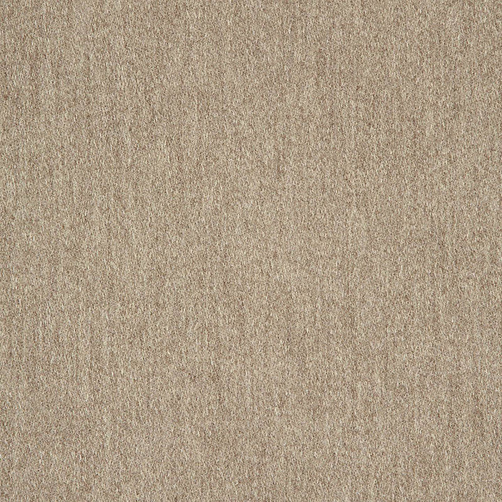 40501-0012 Pashmina Alpaca 40501 0012 by Sunbrella Designer Fabric Cushion Furniture Drapery Fabrics > Sunbrella Fusion Collection 100% acrylic USA or Imported Horizontalorizontal 0.20" Verticalertical 13.60" 54" - Swanky Fabrics -