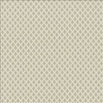 Patio 55 Shadow by Kasmir Designer Fabric
