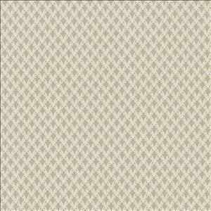 Patio 55 Shadow by Kasmir Designer Fabric