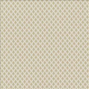Patio 55 Taupe by Kasmir Designer Fabric