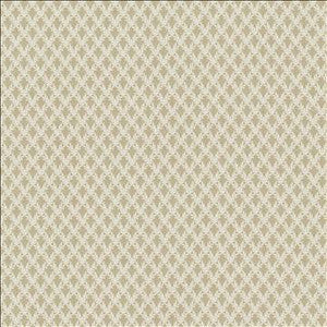Patio 55 Taupe by Kasmir Designer Fabric