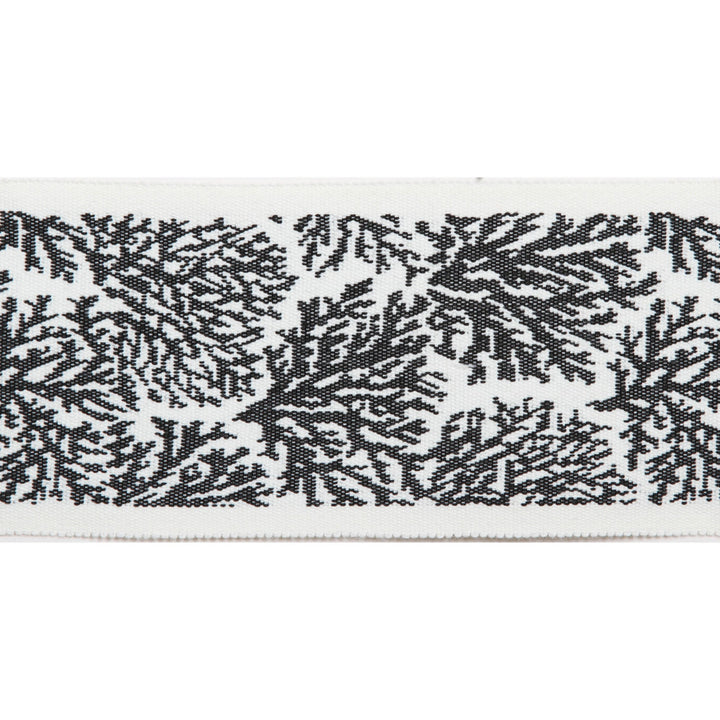 Pergola Coral Tape Black by Europatex Designer Fabric Pergola 100% Solution Dyed Acrylic 3.25 inches - Swanky Fabrics -