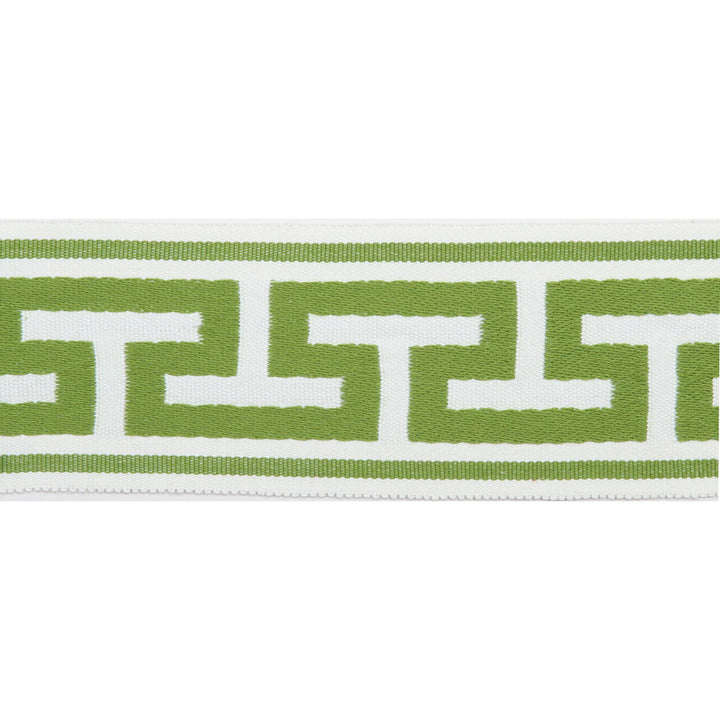 Pergola Embroidered Tape Lime by Europatex Designer Fabric Pergola 100% Solution Dyed Acrylic 2.75 inches - Swanky Fabrics -