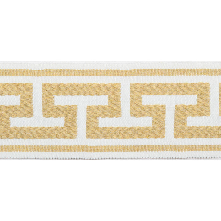 Pergola Embroidered Tape Sunlight by Europatex Designer Fabric Pergola 100% Solution Dyed Acrylic 2.75 inches - Swanky Fabrics -