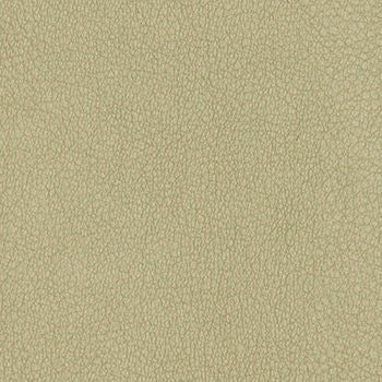 Persuasion Concrete by Nassimi Designer Fabric See sample 100% Vinyl  250000 Horizontal: Not Applicable and Vertical: Not Applicable 54"  - Swanky Fabrics -