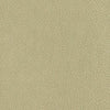 Persuasion Concrete by Nassimi Designer Fabric