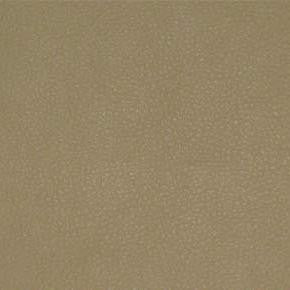 Persuasion Sand TPE-022 by Nassimi Designer Fabric our website for purchase 100% Vinyl USA or Asia Water-based cleaning agents and foam may be used for cleaning. This fabric may also be cleaned with mild, water-free solvents. Cleaning by a professional cleaning service is recommended. Horizontal: - and Vertical: - 54" - Swanky Fabrics -