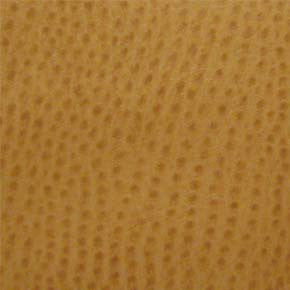 Phoenix Ochre TPH-009 by Nassimi Designer Fabric See sample 100% Vinyl USA or Imported Water-based cleaning agents and foam may be used for cleaning. Cleaning by a professional cleaning service is recommended.  54  - Swanky Fabrics -