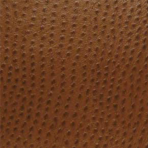 Phoenix Outback TPH-010 by Nassimi Designer Fabric See sample 100% Vinyl USA or Imported Water-based cleaning agents and foam may be used for cleaning. Cleaning by a professional cleaning service is recommended. </p><p>Repeat: Horizontal: and Vertical: 54" - Swanky Fabrics -