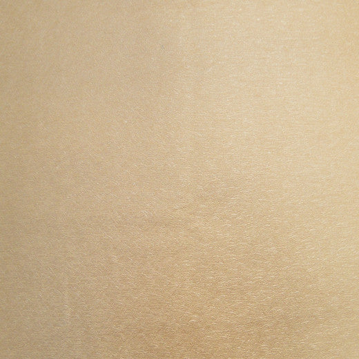 Pioneer - 18 by Europatex Designer Fabric Pioneer 55% PVC, 40% Polyester, 5% Polyurethane China See Sample Horizontal: N/A and Vertical: N/A 55.00 inches  - Swanky Fabrics -