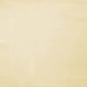 Plush 03 by Europatex Designer Fabric