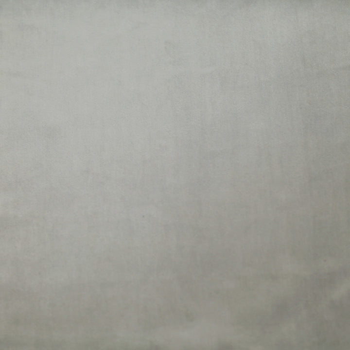 Plush 06 by Europatex Designer Fabric Plush 100% Polyester 0.00" 55.00 inches - Swanky Fabrics -