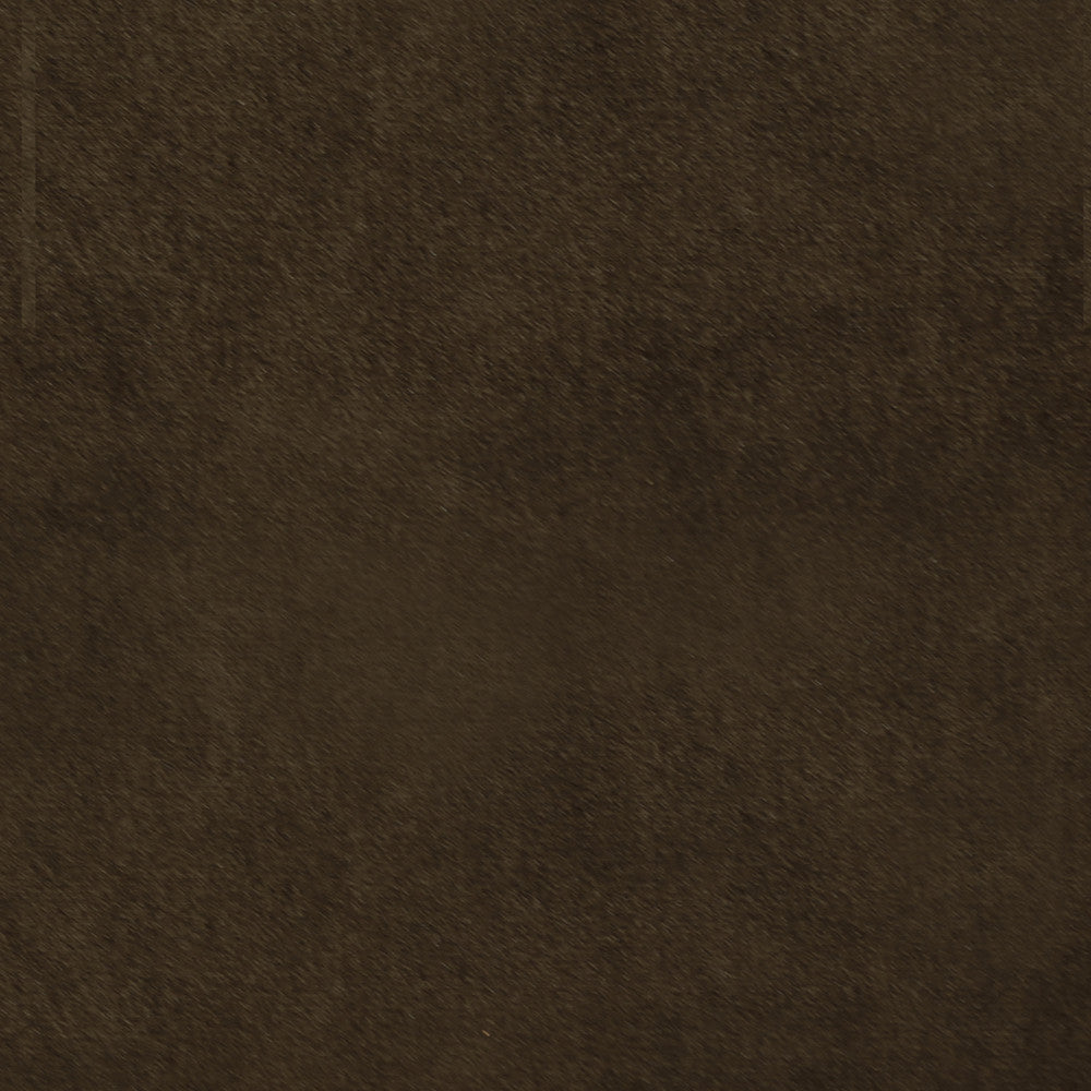 Plush 08 by Europatex Designer Fabric Plush 100% Polyester 0.00" 55.00 inches - Swanky Fabrics -