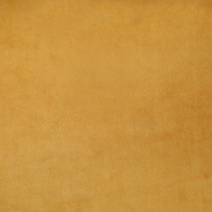 Plush 11 by Europatex Designer Fabric