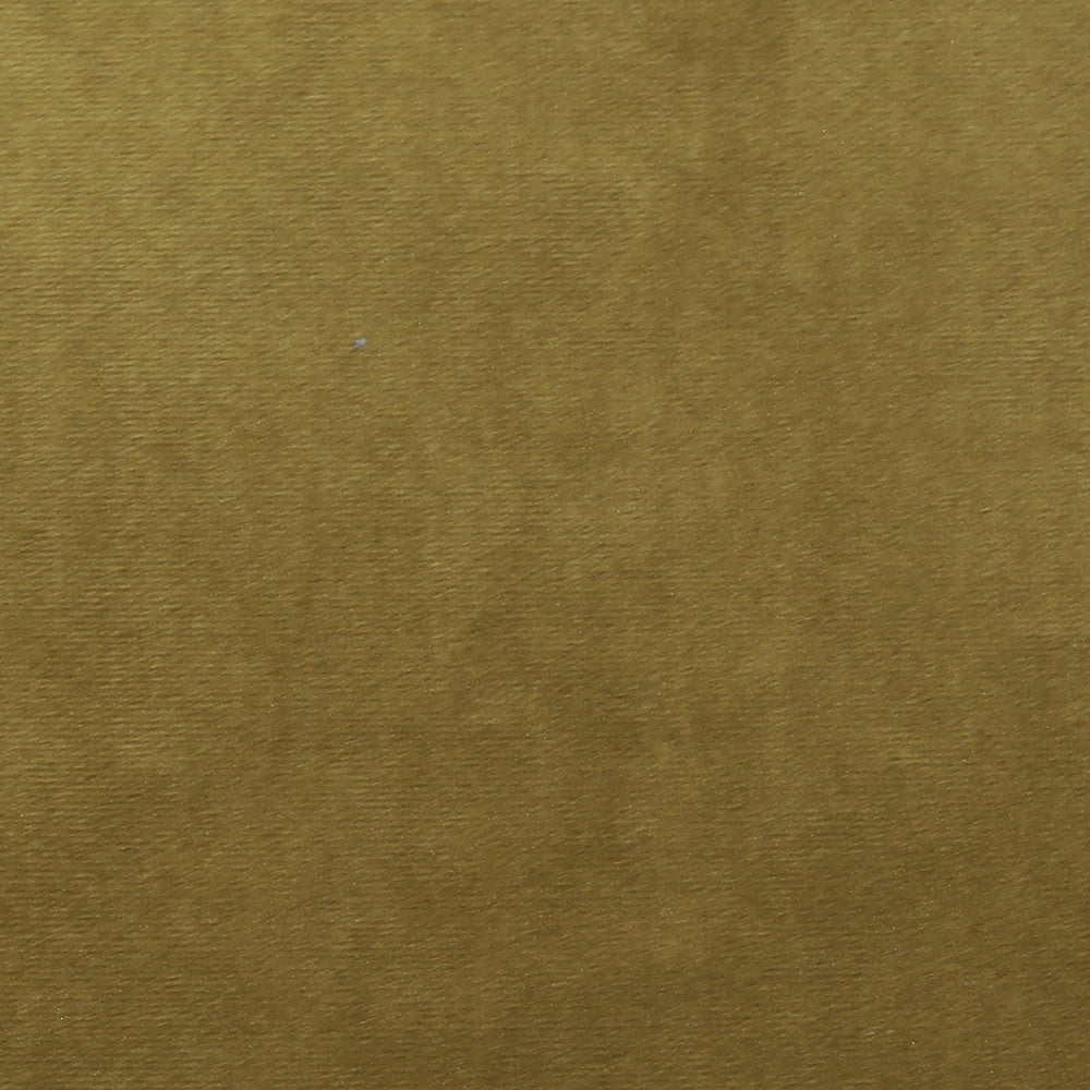 Plush 12 by Europatex Designer Fabric Plush 100% Polyester China 35,000 Double Rubs Horizontal: N/A and Vertical: N/A 55" - Swanky Fabrics -
