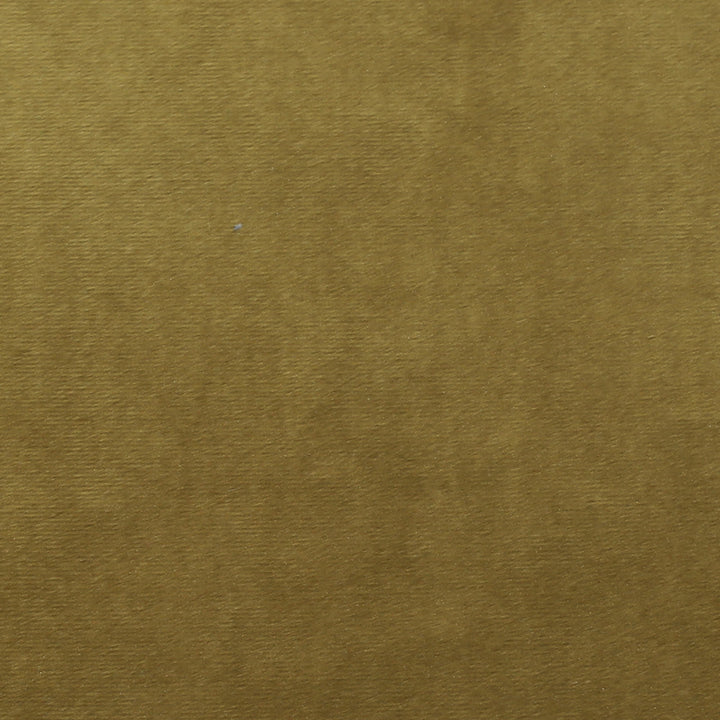 Plush 12 by Europatex Designer Fabric Plush 100% Polyester China 35,000 Double Rubs Horizontal: N/A and Vertical: N/A 55" - Swanky Fabrics -
