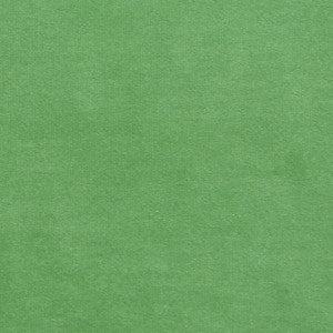 Plush 13 by Europatex Designer Fabric