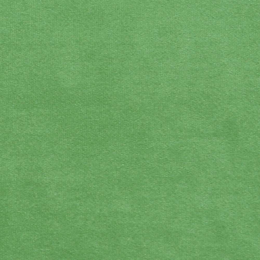 Plush 13 by Europatex Designer Fabric Plush 100% Polyester 0.00" 55.00 inches - Swanky Fabrics -