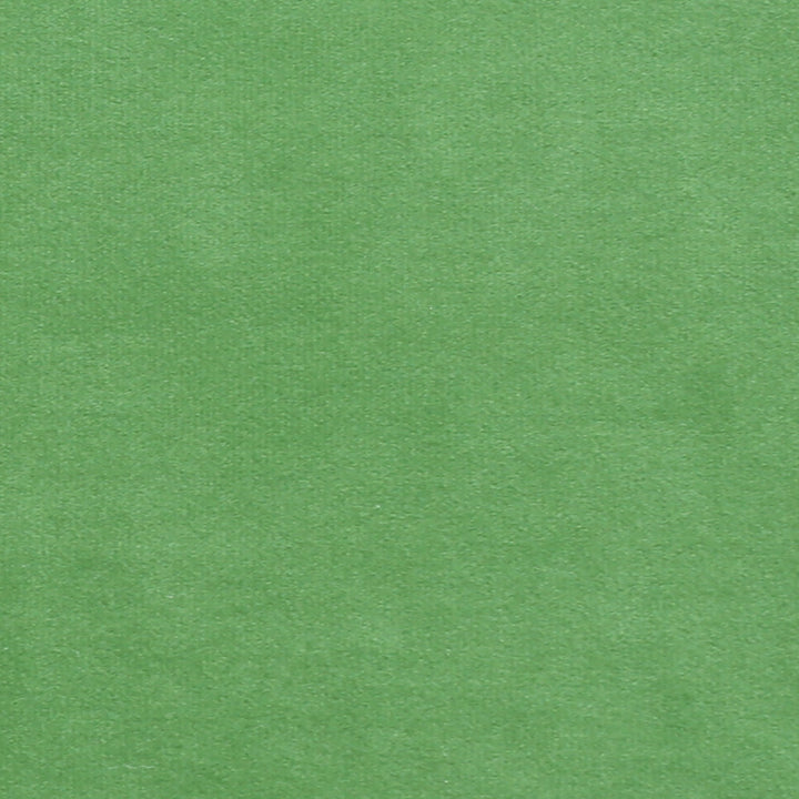 Plush 13 by Europatex Designer Fabric Plush 100% Polyester 0.00" 55.00 inches - Swanky Fabrics -
