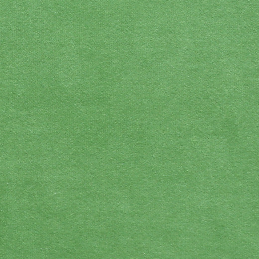 Plush - 13 by Europatex Designer Fabric Plush 100% Polyester China See Sample Horizontal: N/A and Vertical: N/A 55.00 inches  - Swanky Fabrics -