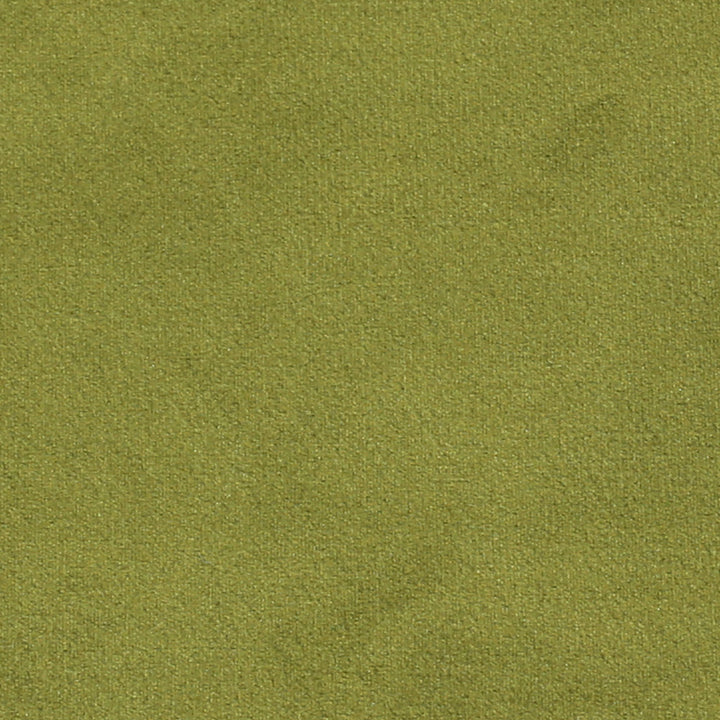Plush 14 by Europatex Designer Fabric Plush 100% Polyester 0.00" 55.00 inches - Swanky Fabrics -