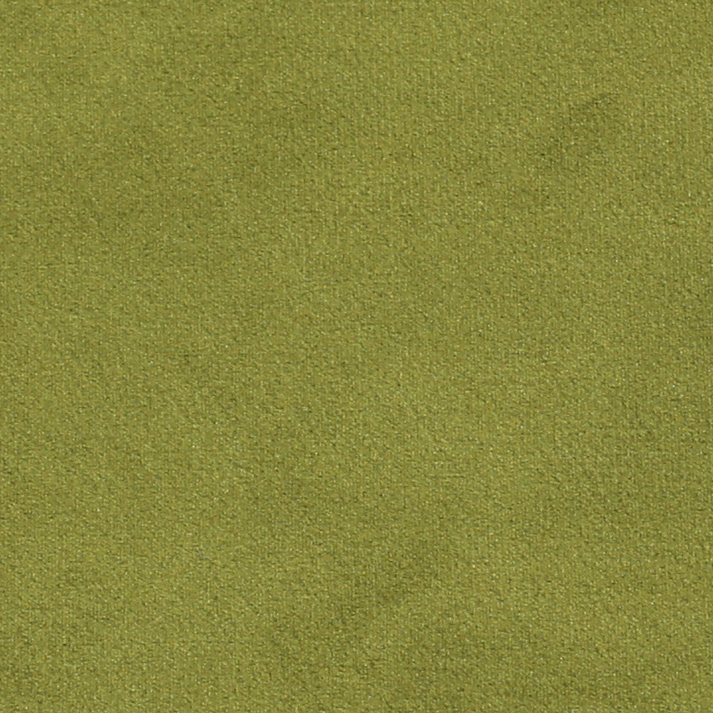 Plush 14 by Europatex Designer Fabric Plush 100% Polyester China 35,000 Double Rubs Horizontal: N/A and Vertical: N/A 55" - Swanky Fabrics -