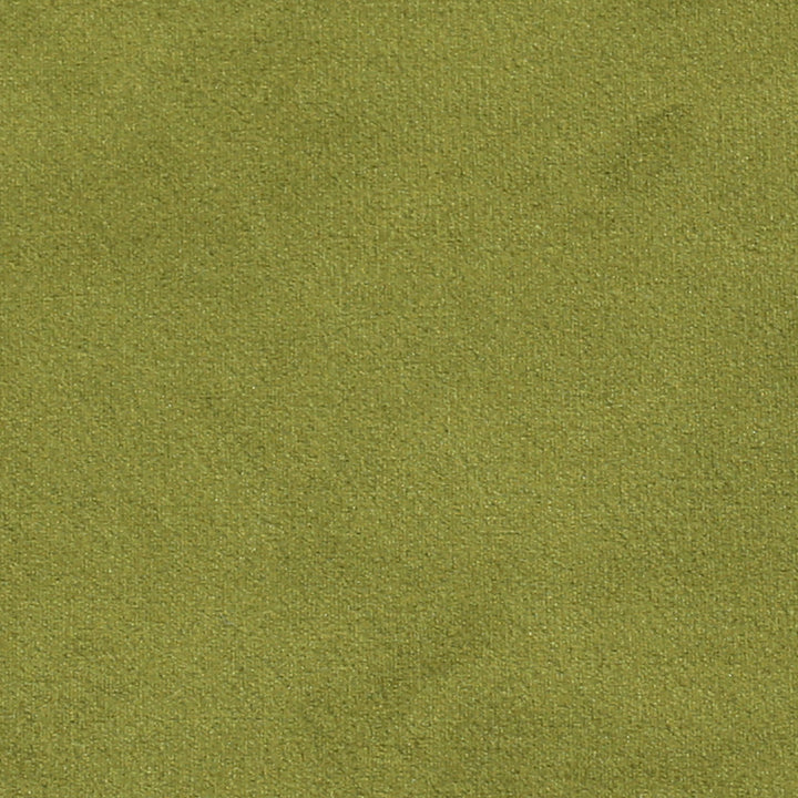 Plush 14 by Europatex Designer Fabric Plush 100% Polyester China 35,000 Double Rubs Horizontal: N/A and Vertical: N/A 55" - Swanky Fabrics -