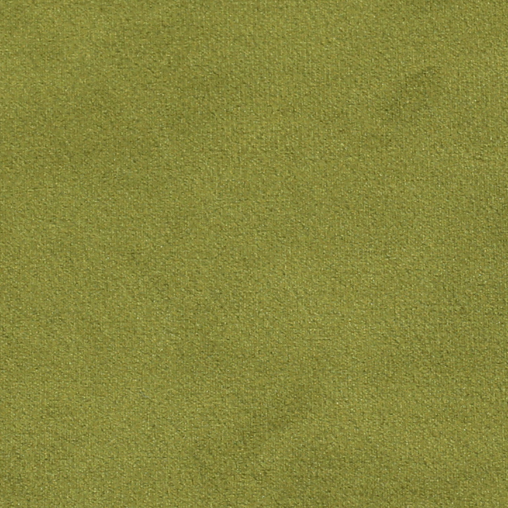 Plush 14 by Europatex Designer Fabric Plush 100% Polyester 0.00" 55.00 inches - Swanky Fabrics -