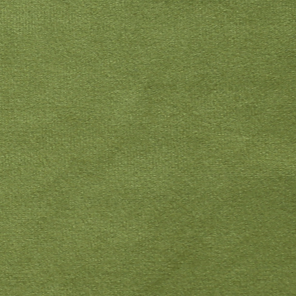 Plush 15 by Europatex Designer Fabric Plush 100% Polyester 0.00" 55.00 inches - Swanky Fabrics -