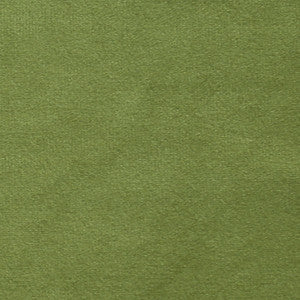 Plush 15 by Europatex Designer Fabric