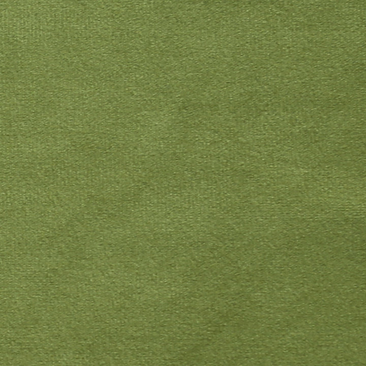 Plush 15 by Europatex Designer Fabric Plush 100% Polyester 0.00" 55.00 inches - Swanky Fabrics -