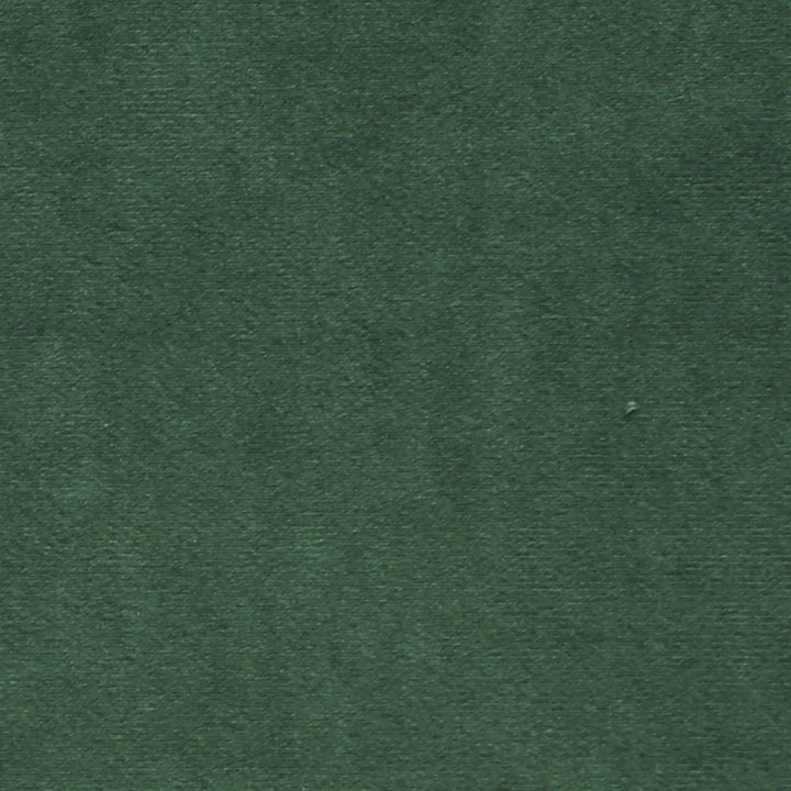 Plush 16 by Europatex Designer Fabric Plush 100% Polyester 0.00" 55.00 inches - Swanky Fabrics -
