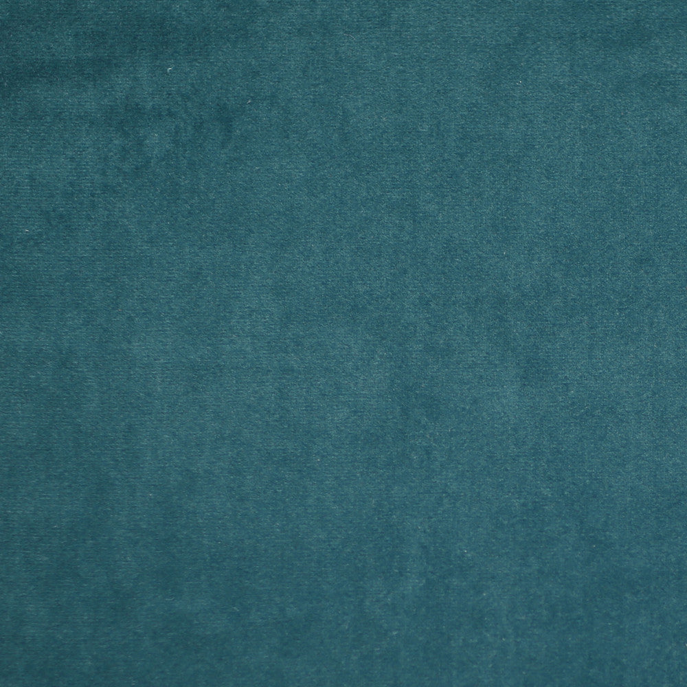 Plush 18 by Europatex Designer Fabric Plush 100% Polyester 0.00" 55.00 inches - Swanky Fabrics -