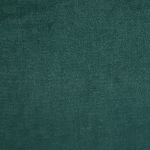 Plush - 19 by Europatex Designer Fabric Plush 100% Polyester China See Sample Horizontal: N/A and Vertical: N/A 55.00 inches  - Swanky Fabrics -