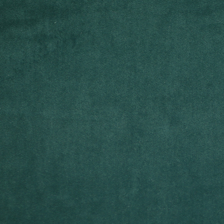 Plush 19 by Europatex Designer Fabric Plush 100% Polyester 0.00" 55.00 inches - Swanky Fabrics -