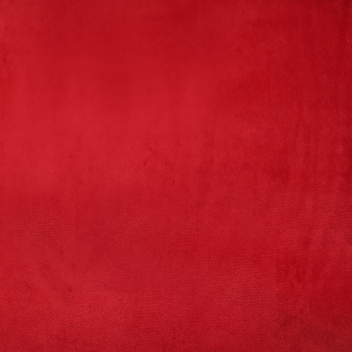 Plush 26 by Europatex Designer Fabric Plush 100% Polyester 0.00" 55.00 inches - Swanky Fabrics -