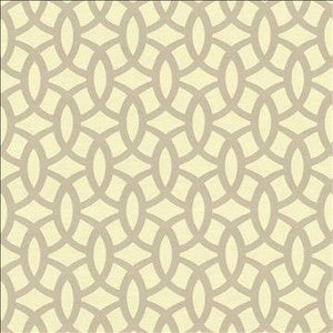 Possibilities Fog by Kasmir Designer Fabric