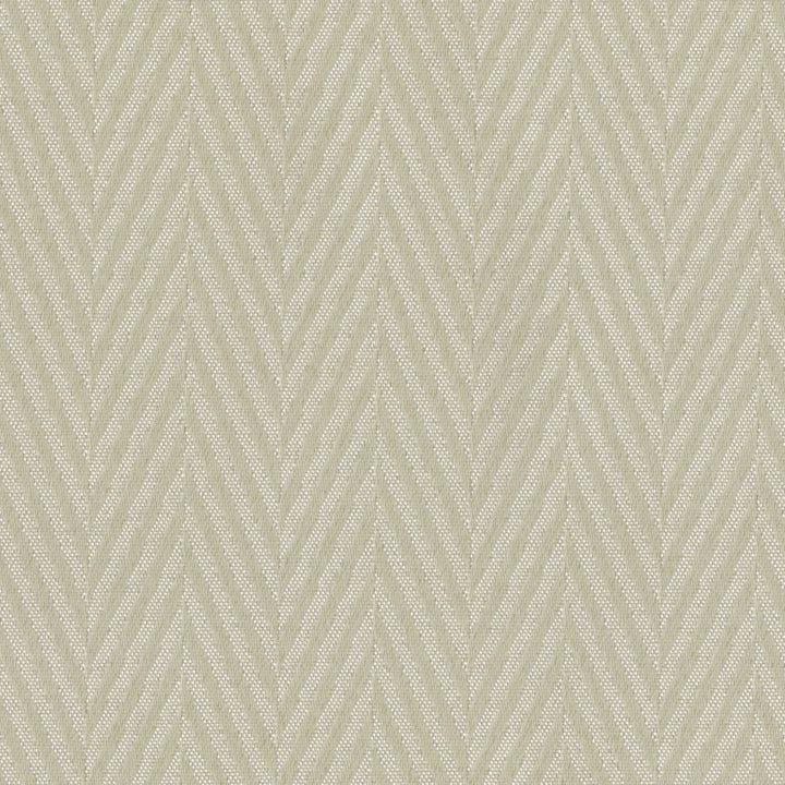 Sombre Prosaic Parchment by Europatex Designer Fabric Sombre 100% Polyester 0.00 55.00 inches - Swanky Fabrics -