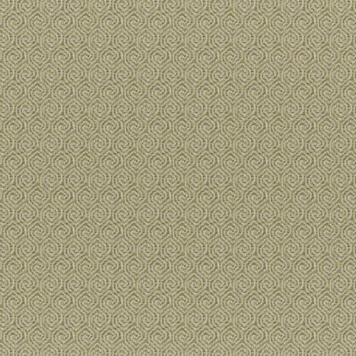 Quintero # 838 Pesto by Maxwell Designer Fabric Colorguard-Amazonia 83% POLYESTER/17% COTTON INDIA V-2" H-1.3" 55.5" - Swanky Fabrics -