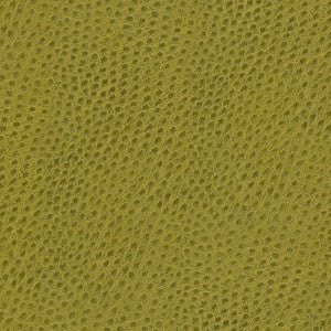 Quill-Nj # 874 Juniper by Maxwell Designer Fabric