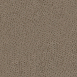 Quill-Nj # 883 Musgum by Maxwell Designer Fabric
