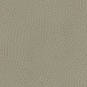 Quill-Nj # 888 Meringue by Maxwell Designer Fabric