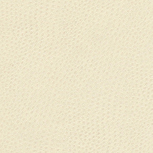 Quill-Nj # 899 Foam by Maxwell Designer Fabric