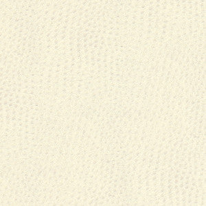 Quill-Nj # 900 Whipped by Maxwell Designer Fabric