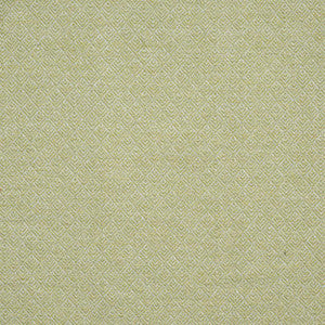 Queenswood # 911 Celery by Maxwell Designer Fabric